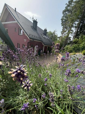 Apartamenty Lavender Hill